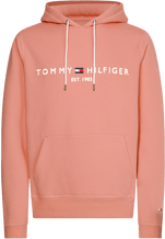 Tommy Logo Hoody - Mineralize